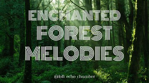 Melodies of the witch in the forest